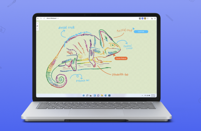 This picture is of a drawing of a lizard and showcases the tools on offer to coach clients visually. 